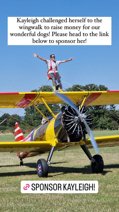 Fetcher Dog's Kayleigh completes a Wing Walk to raise much needed funds!!