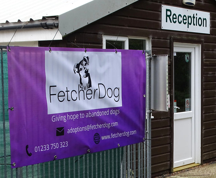 Update with regards the Fetcher Dog rescue centre and request for support!