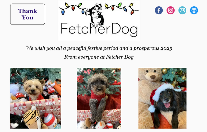 A huge thank you to everyone who supported Fetcher Dog in 2024!!